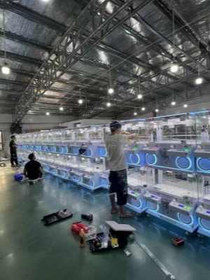 4 Player Mini Claw Machine | South Korea Export, Factory Price